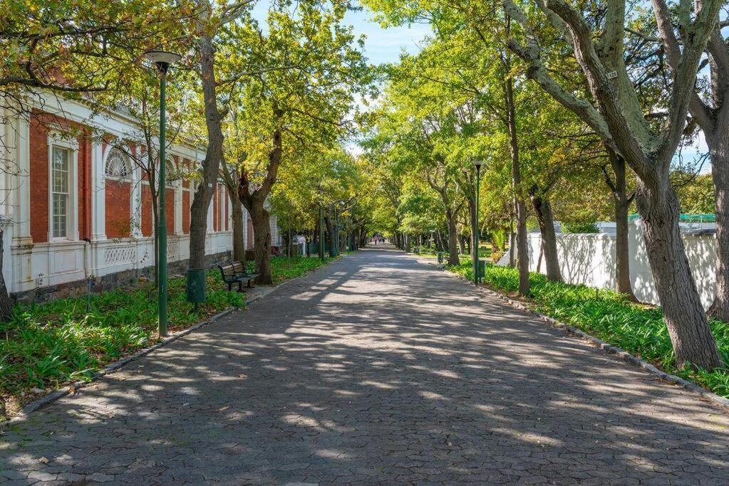 Apartment Business Hub,trendy,secure Living In Heritage Area *